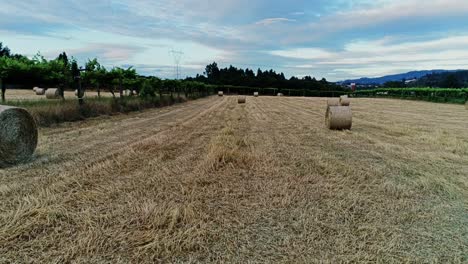 An-aerial-view-of-a-large-industrial-brown-field-with-many-hay-bales-in-4K