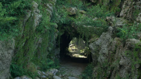 mysterious overgrown cave entrance in a lush forest