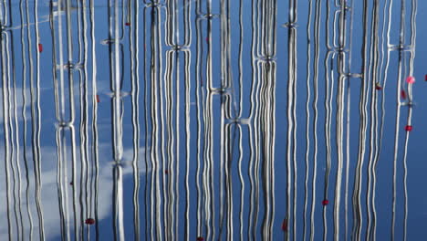 abstract art installation: reflection of strings in blue water