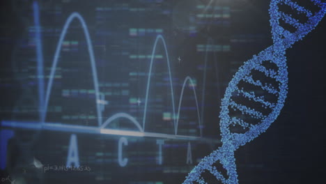 animation of dna strand spinning and data processing