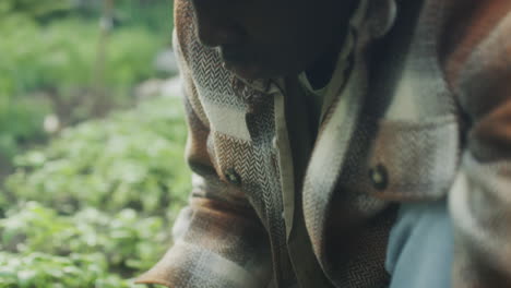 person tending to green plants in a garden