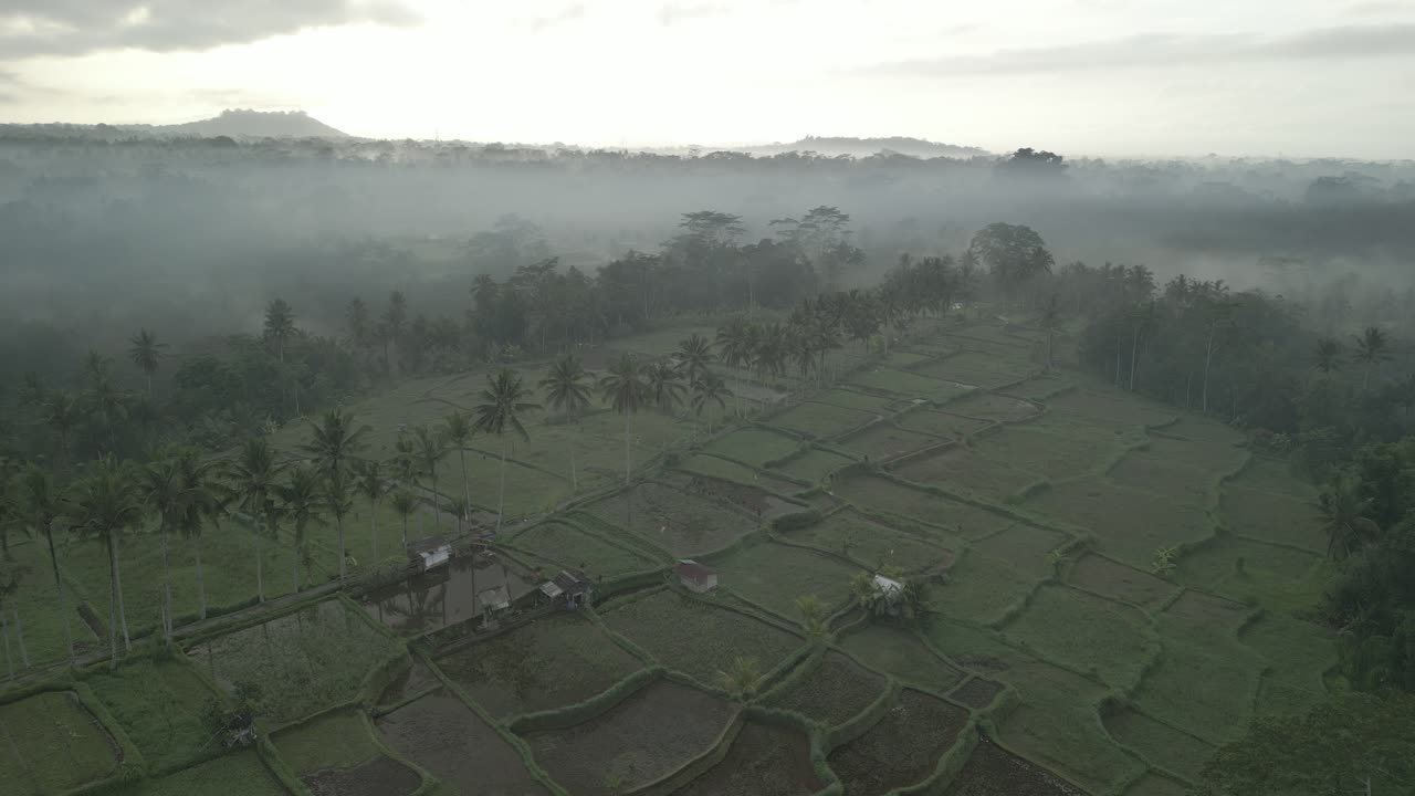 la joya escondida en bali, indonesia llamada banjar mancingan caminata de arroz