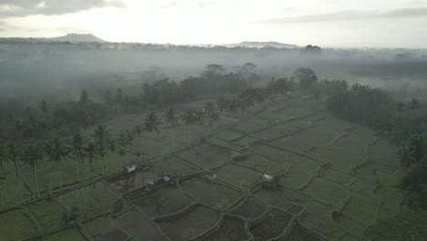 Joya-Escondida-En-Bali,-Indonesia-Llamada-Banjar-Fishingan-Rice-Trekking