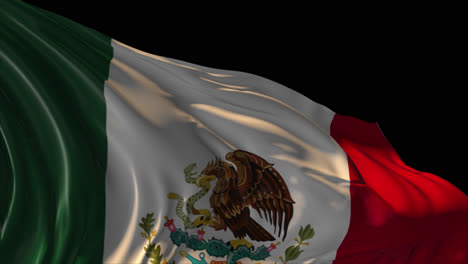 mexican flag waving