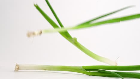 whole tubular green onion stalks falling and bouncing on white table top in slow motion