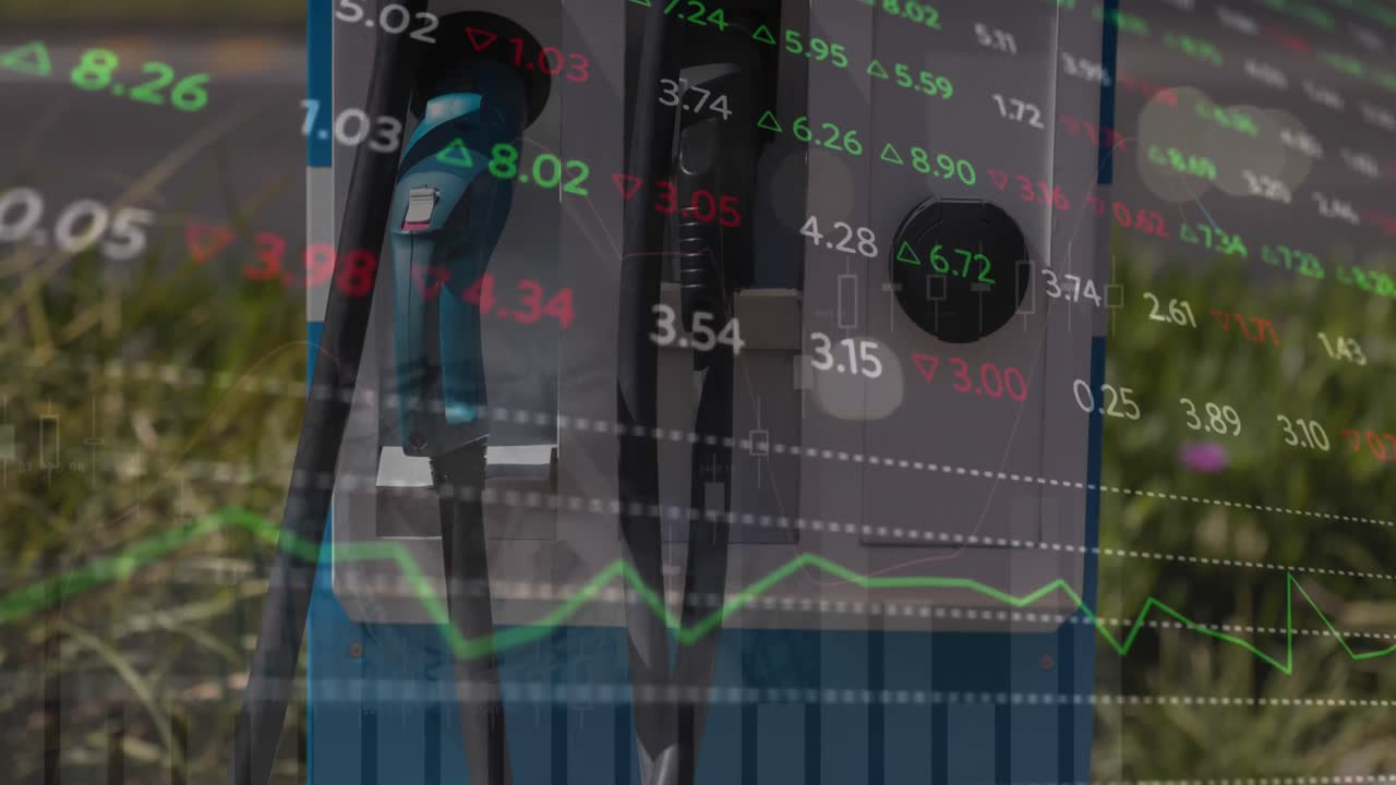 연료 프에서 금융 데이터 처리의 애니메이션