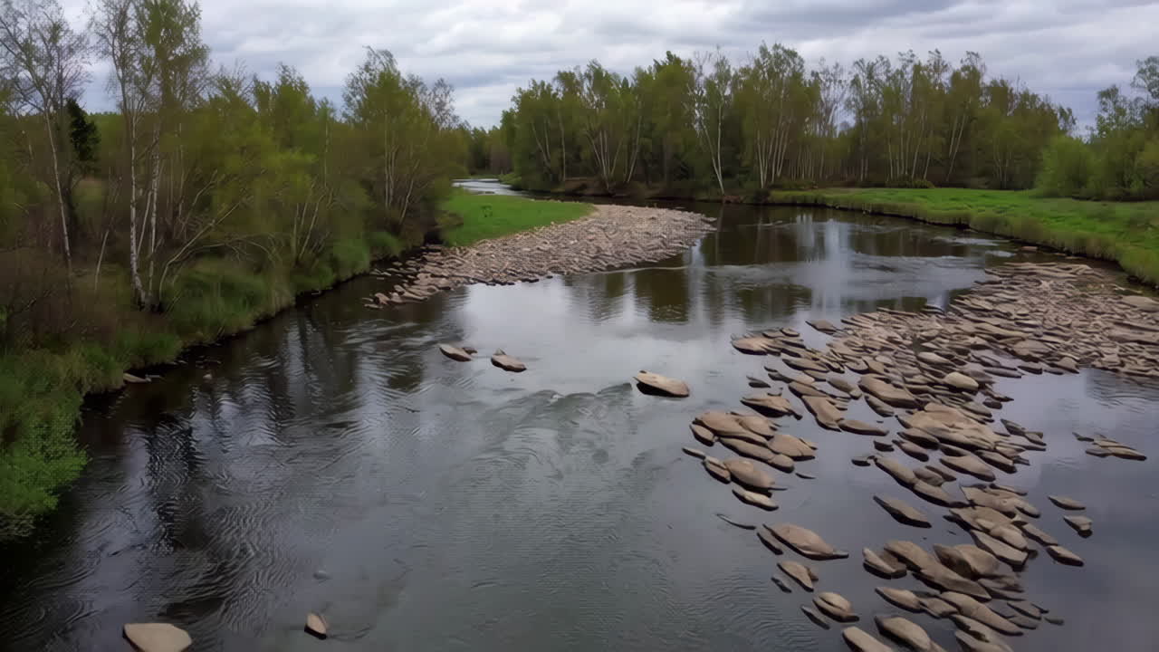 Flod med sten og træer
