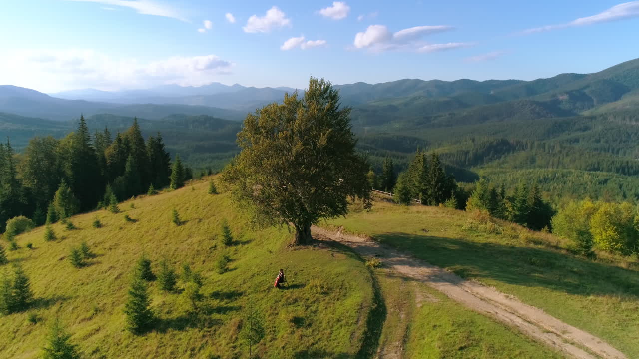 Beautiful nature. Green trees on a hill with a trail. Mountains landscape. People rest in fresh air. Amazing nature in summer. Aerial view.