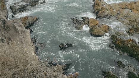 looking over sea cliffs as water crashes into rocks on overcast summer day