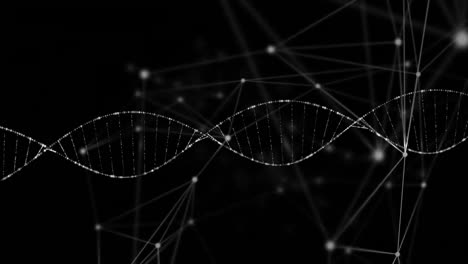 animation of network of connections and dna strand on black background