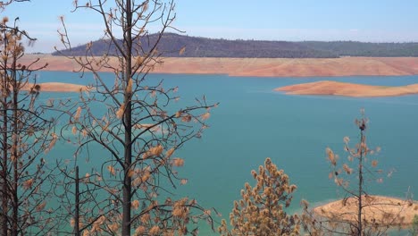 oroville lake california during extreme drought conditions with low water levels and burned trees