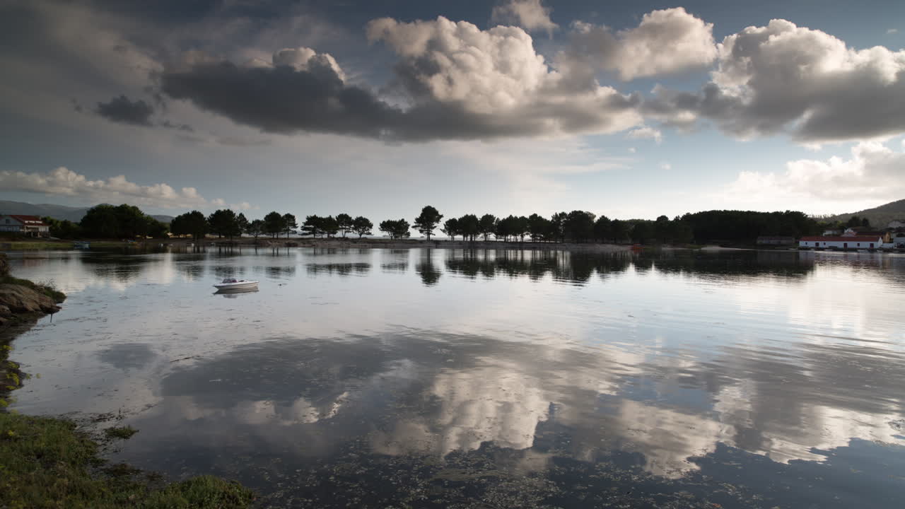 arboles de las dunas de galicia 01