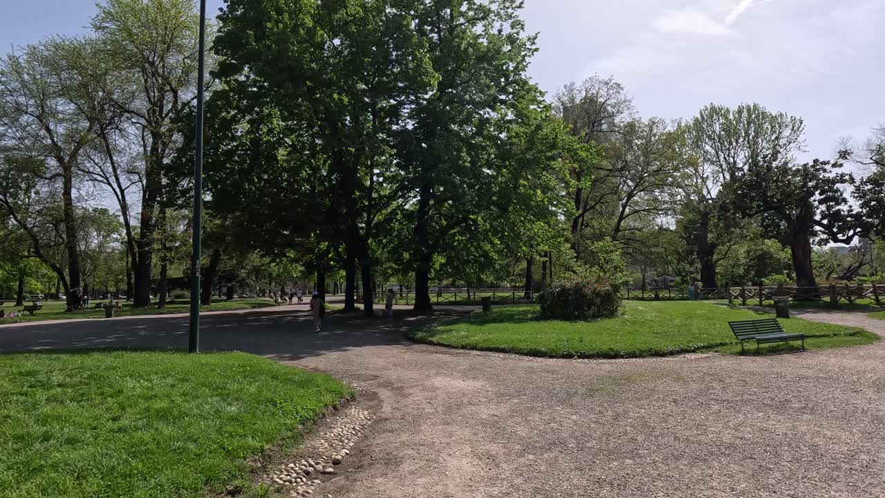 un parque sereno con una fuente central