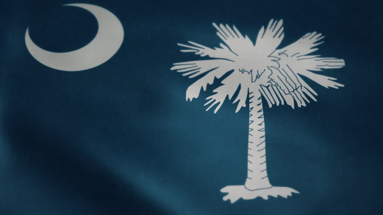 Flag of South Carolina, slow motion waving