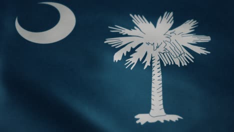 flag of south carolina, slow motion waving