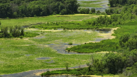 perrot state park nature wetland slough marsh environment trempealeau, aerial