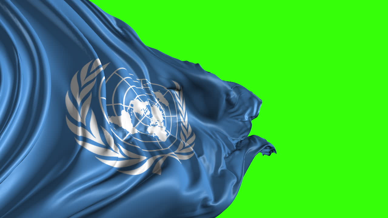 bandera de las naciones unidas