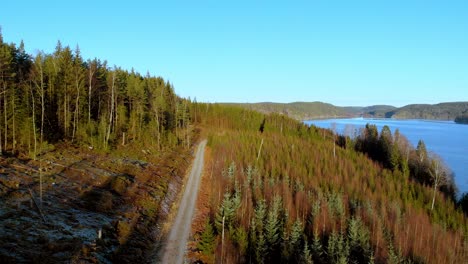 Forward-moving-aerial-over-unpaved-path-amidst-tall-dense-green-trees-leading-towards-beautiful-lake