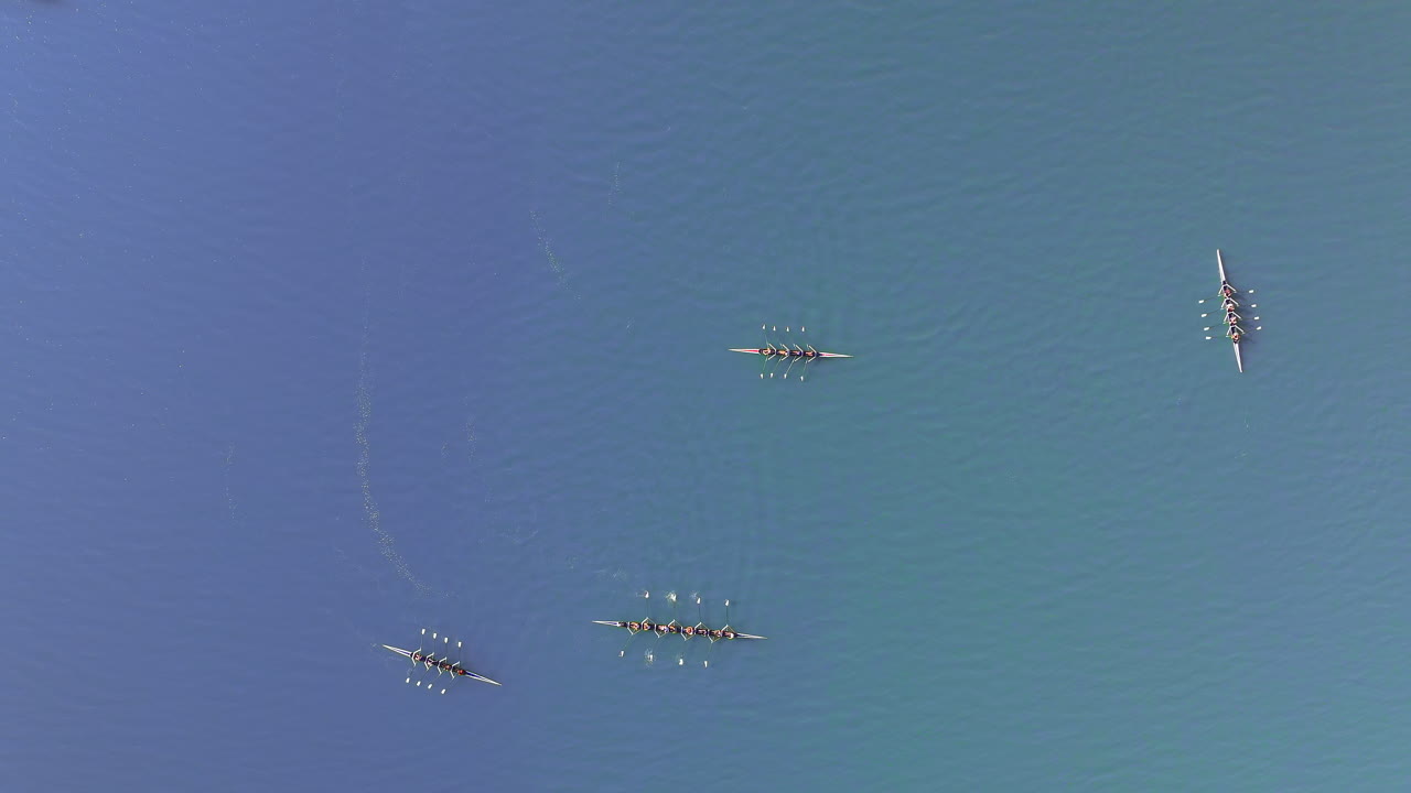 캘리포니아 로스 가토스 근처의 렉싱턴 저수지 표면에 있는 조정 팀의 상위 뷰