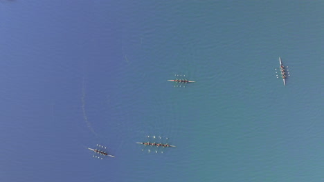 top view of rowing teams on the surface of lexington reservoir near los gatos in california