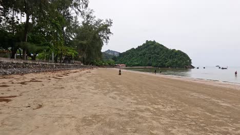 gente disfrutando de una playa serena en krabi