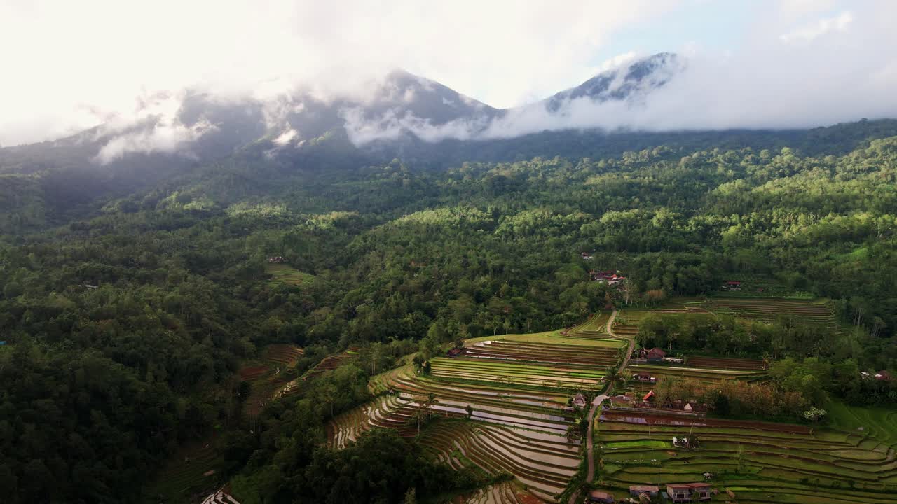 vista aérea panorámica de las terrazas de arroz jatiluwih rodeadas de exuberantes árboles tropicales en el oeste de bali, indonesia