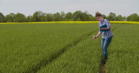 Researcher-Examining-Crops-While-Writing-In-Clipboard-3