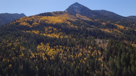 Rising-aerial-shot-of-snowcapped-mountain-in-Utah-during-the-autumn-leaf-change-with-yellow-aspens