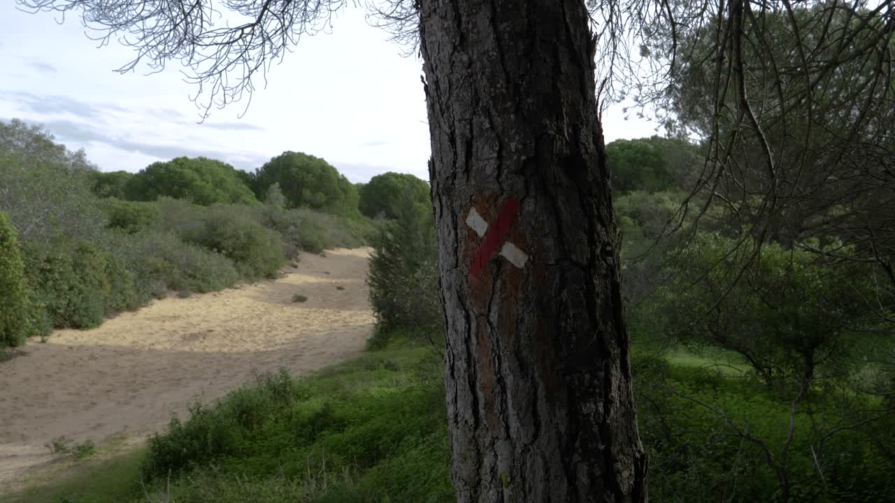 European Wrong Direction Trail Mark, Pine Forest, Caparica