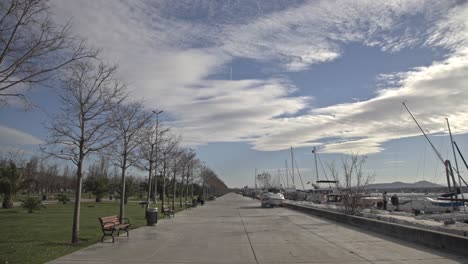 seaside park full of trees in maltepe, istanbul