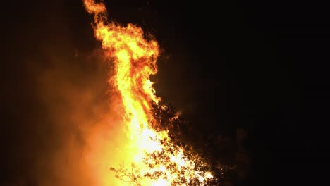 Llamas-De-Fuego-Rugiendo-En-Un-árbol-De-Silueta,-En-La-Oscuridad-Nocturna---Vista-Manual