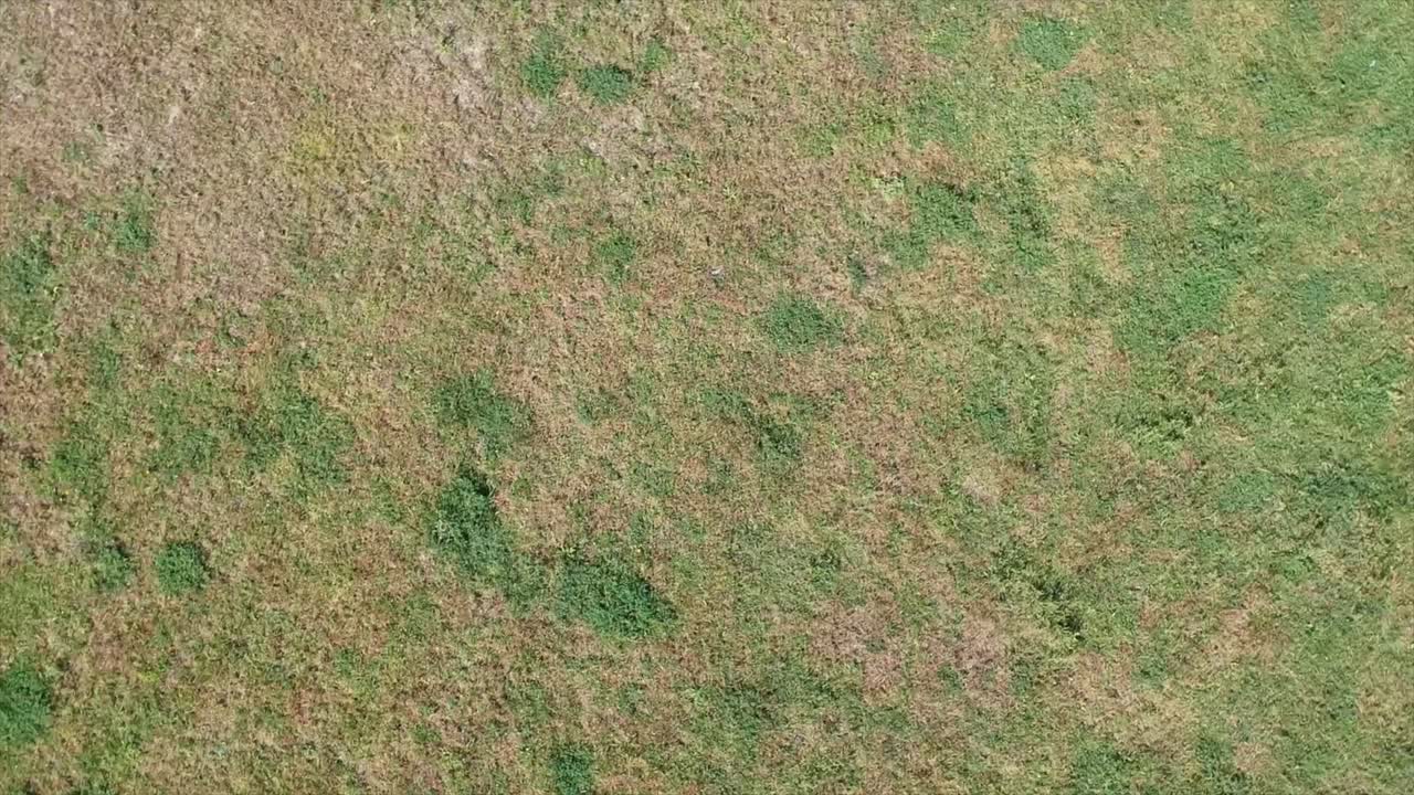 elevación de la antena de giro del suelo sobre césped seco