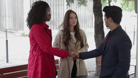 afro-american woman shaking hands with man, making deal, talking