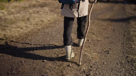 person hiking on a trail with a backpack and walking stick