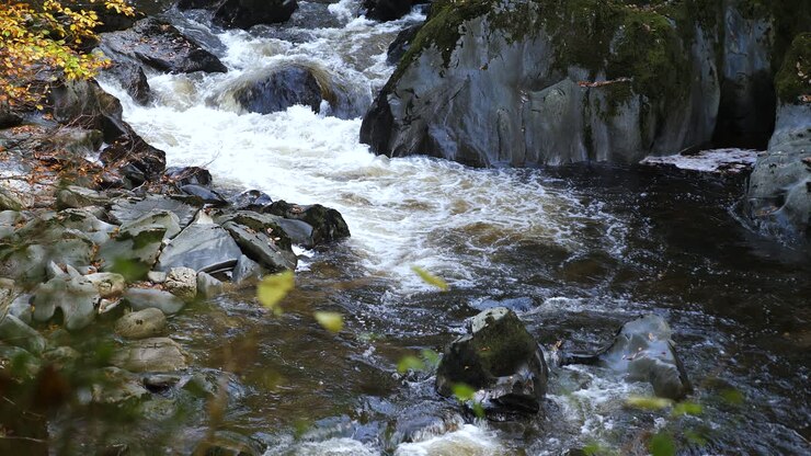 Galler'deki Afon Conwy'den hızla akan su