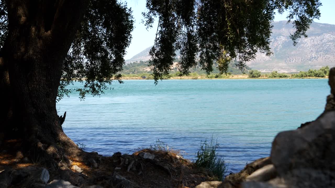butrint, albania, vista de la montaña y el lago a través de hojas y ramas de árboles