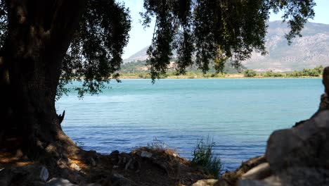 butrint, albania, vista de la montaña y el lago a través de hojas y ramas de árboles