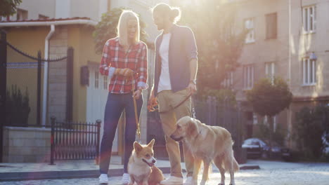 Joven-Y-Mujer-Con-Dos-Perros-Atados-Caminando-Por-La-Calle-En-Un-Día-Soleado