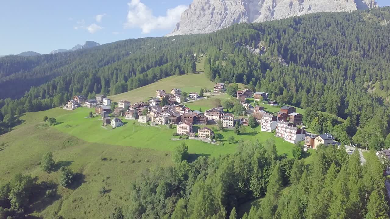 산촌과 소나무에 드론