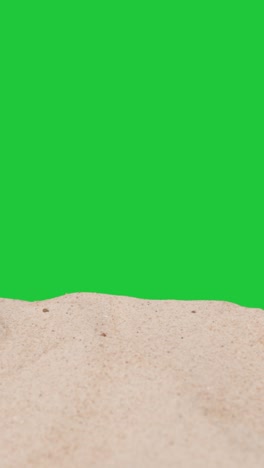 vertical video summer holiday concept of person on beach towel reading book against green screen