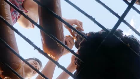 group of friends toasting while preparing sausages on barbecue