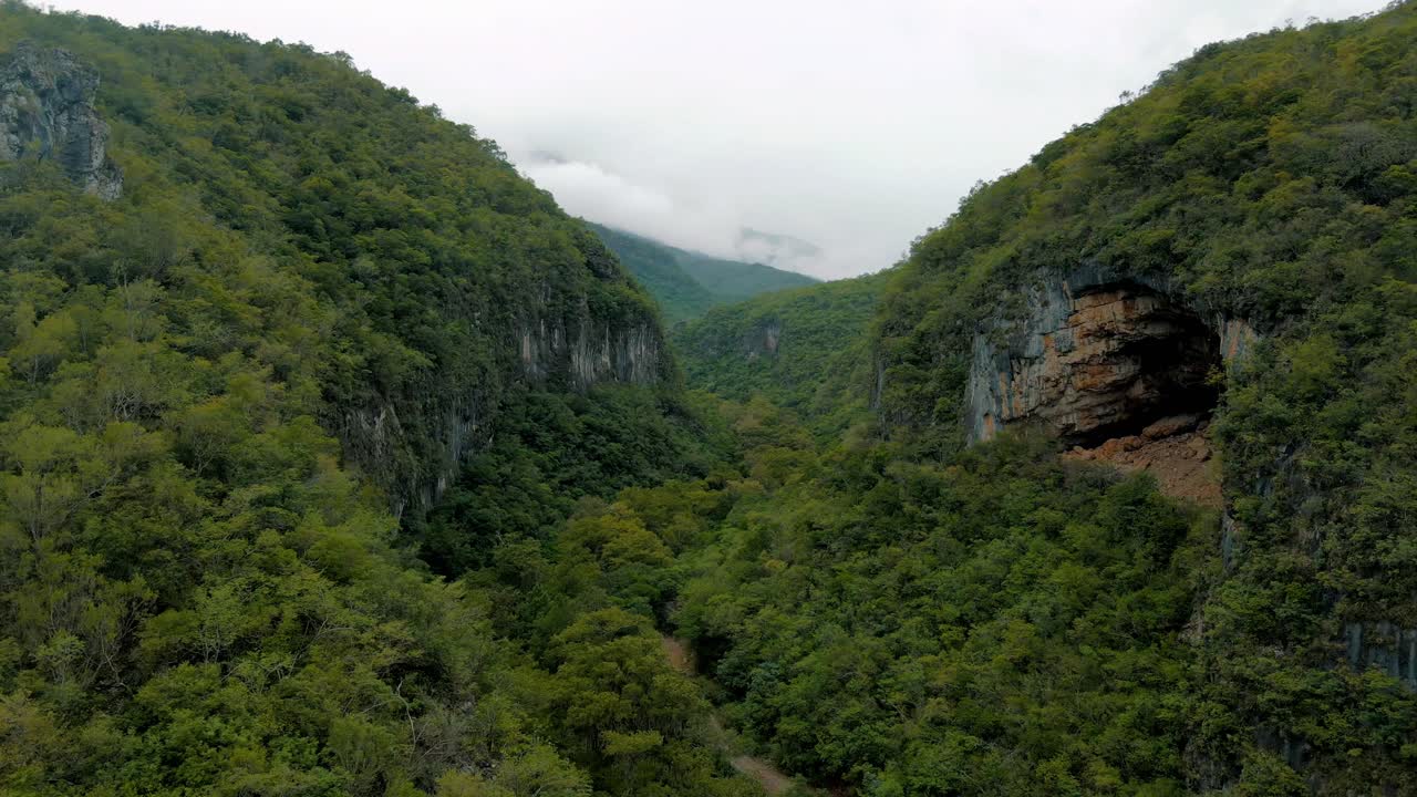 Beautiful canyon in the mountains, surrounded by trees, with rocky cliffs and a huge cave in the rocks, filmed from a drone