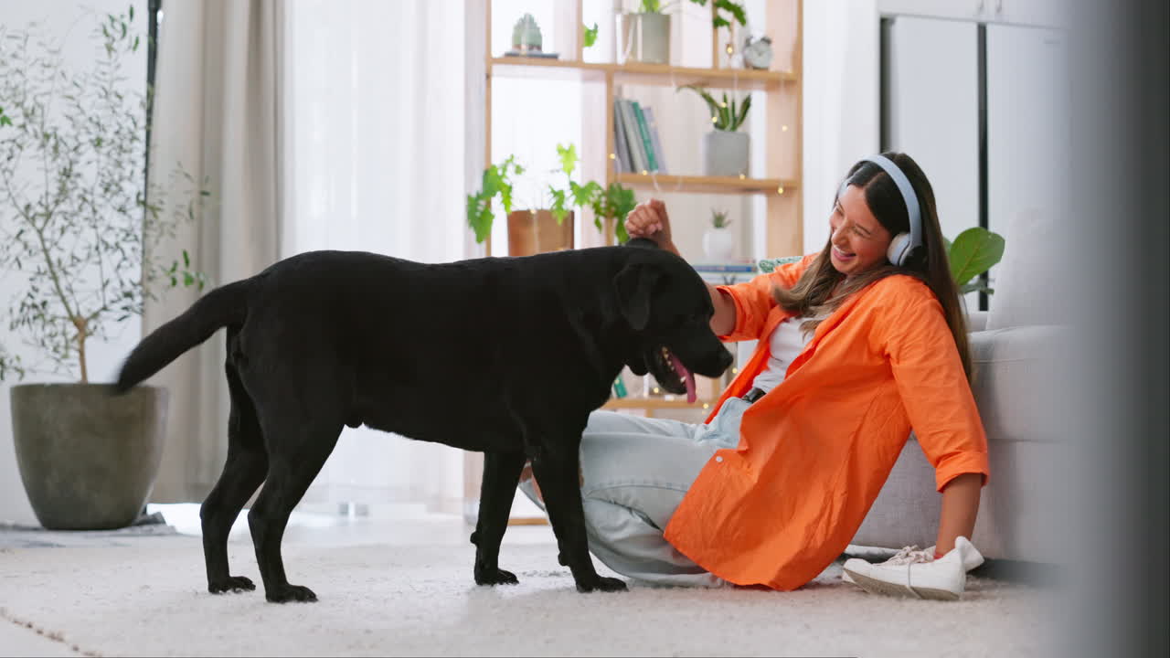 헤드폰, 개 놀이와 거실에서 여자