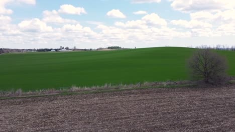 lush green field of crops from ontario farmland country