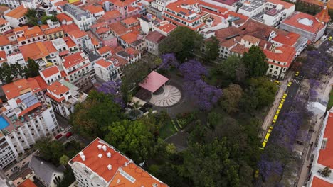 Drone view of purple blossomed Jacaranda trees in the Municipal Garden in Funchal downtown, Madeira Island, Portugal