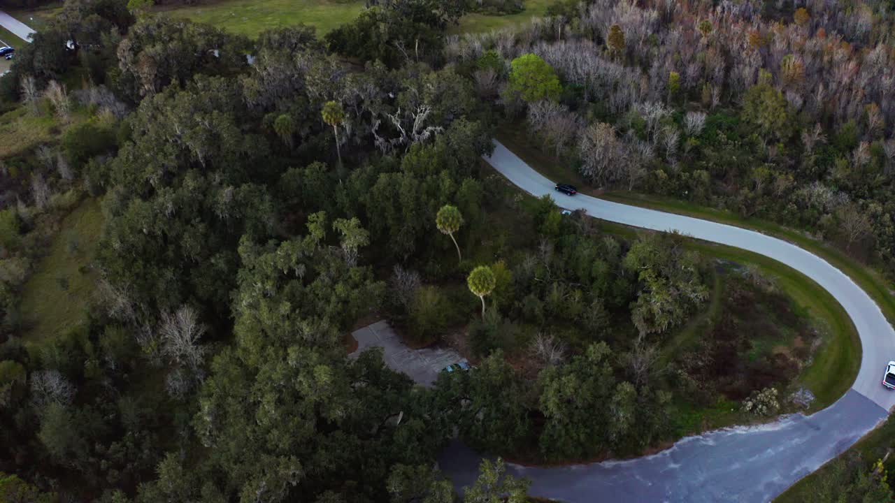 A curved road cutting through thick forest at dusk. Perfect for projects on natural landscapes or environmental studies
