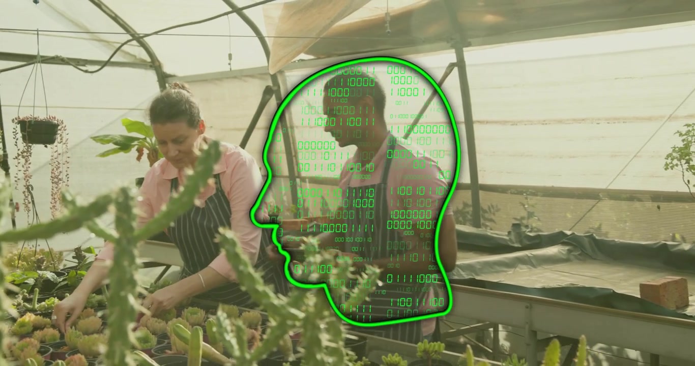 Sbirciando tra i cactus, si rivela la squadra del vivaio che ispeziona le piante e le rinvasa mentre registra i dati su un tablet.