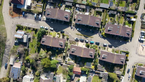 antena de arriba hacia abajo del barrio suburbano con jardines verdes
