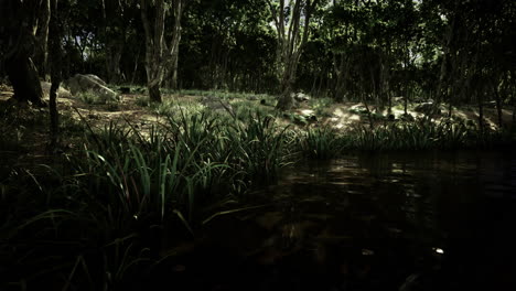 lush green forest landscape with tranquil water during daylight