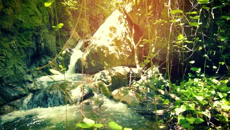 very-beautiful-waterfall-with-sunlight-passing-through-the-tree-leaves-in-algeria